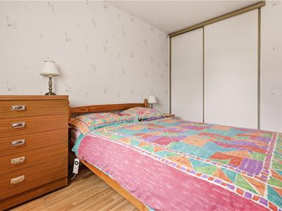 Picture 12
